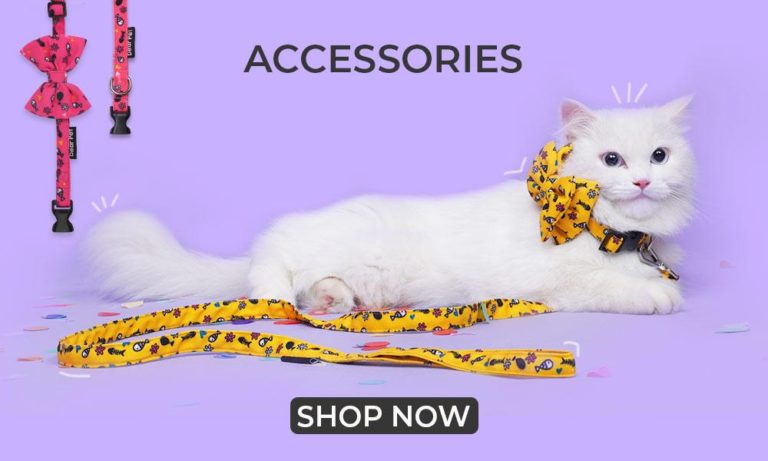 Accessory Cat