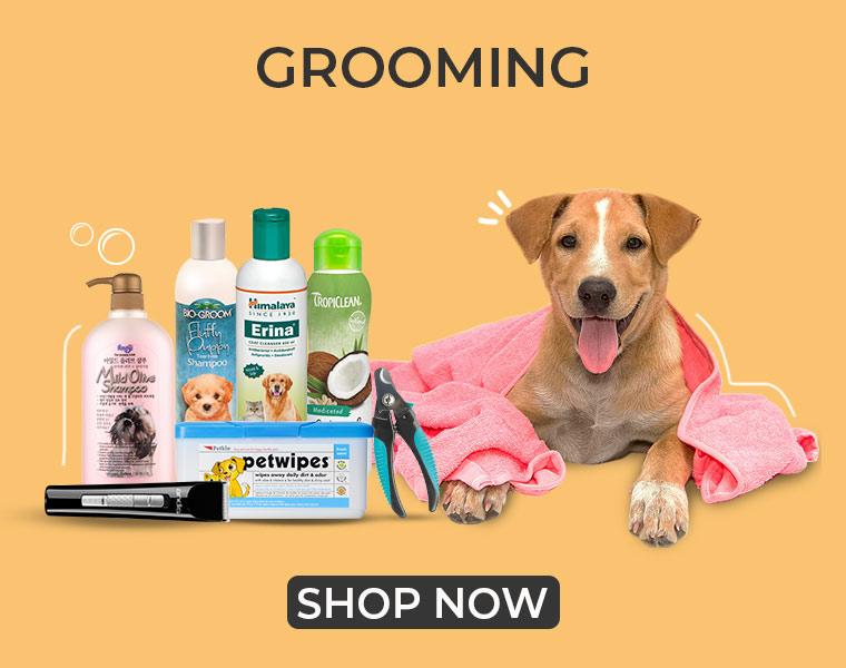 Grooming Dog