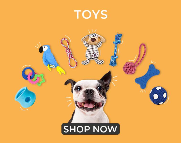 Toys Dog