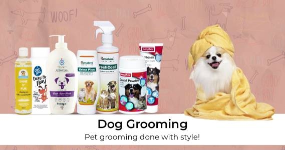 Dog Grooming