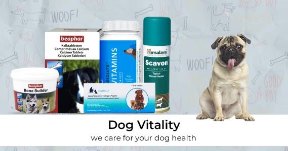 Pet Dog Cat Medicines